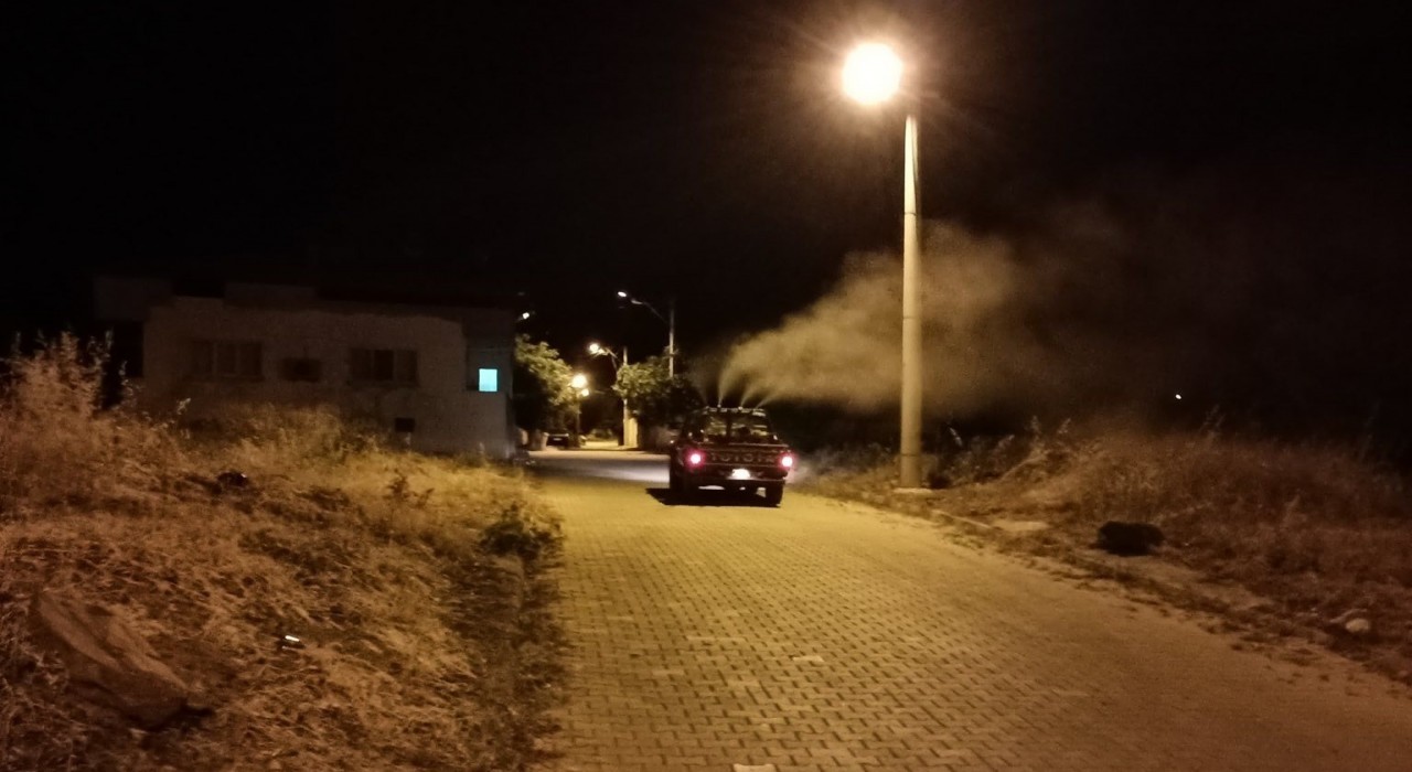 Karacasunun sinek timi işbaşında