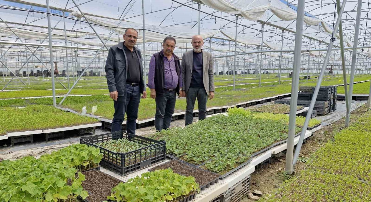 Karamanda bir çiftçi kurduğu serada 5 milyon fide üretiyor