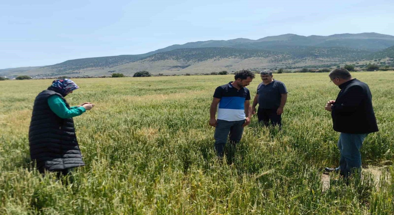 Karapınarda dolu ve sel felaketinde etkilenen bölgelerde incelemelerde bulunuldu