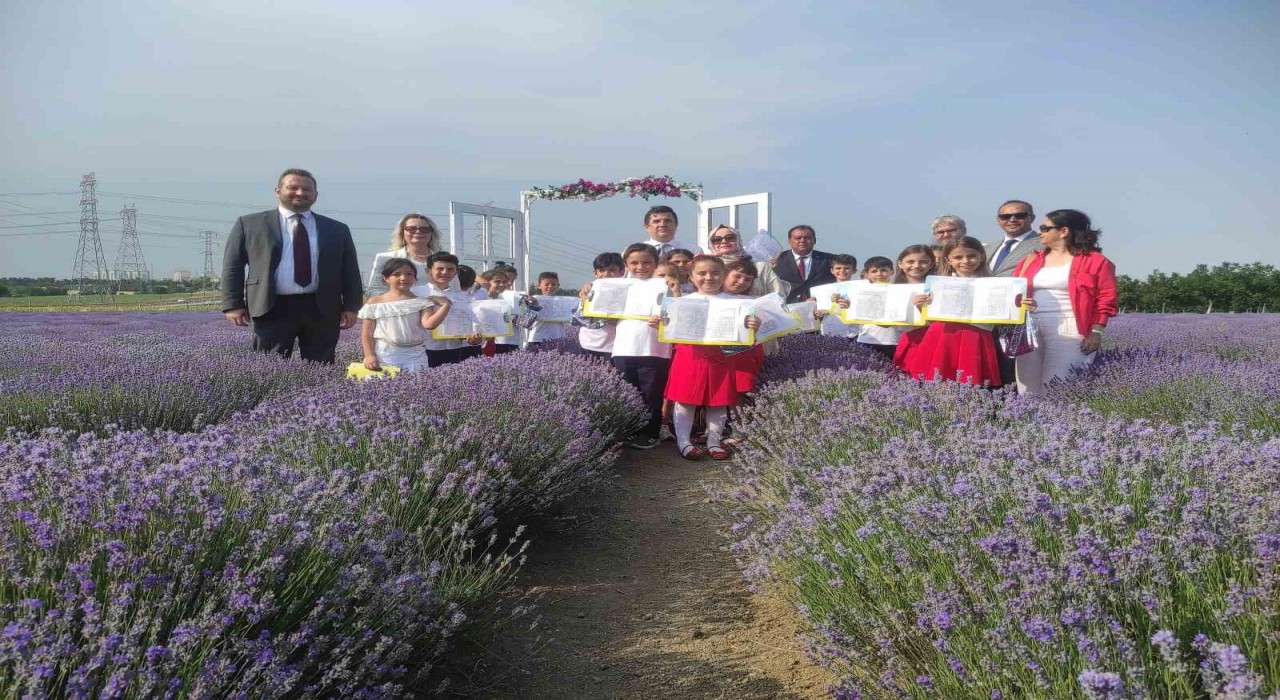 Karnelerini mor tarlada aldılar