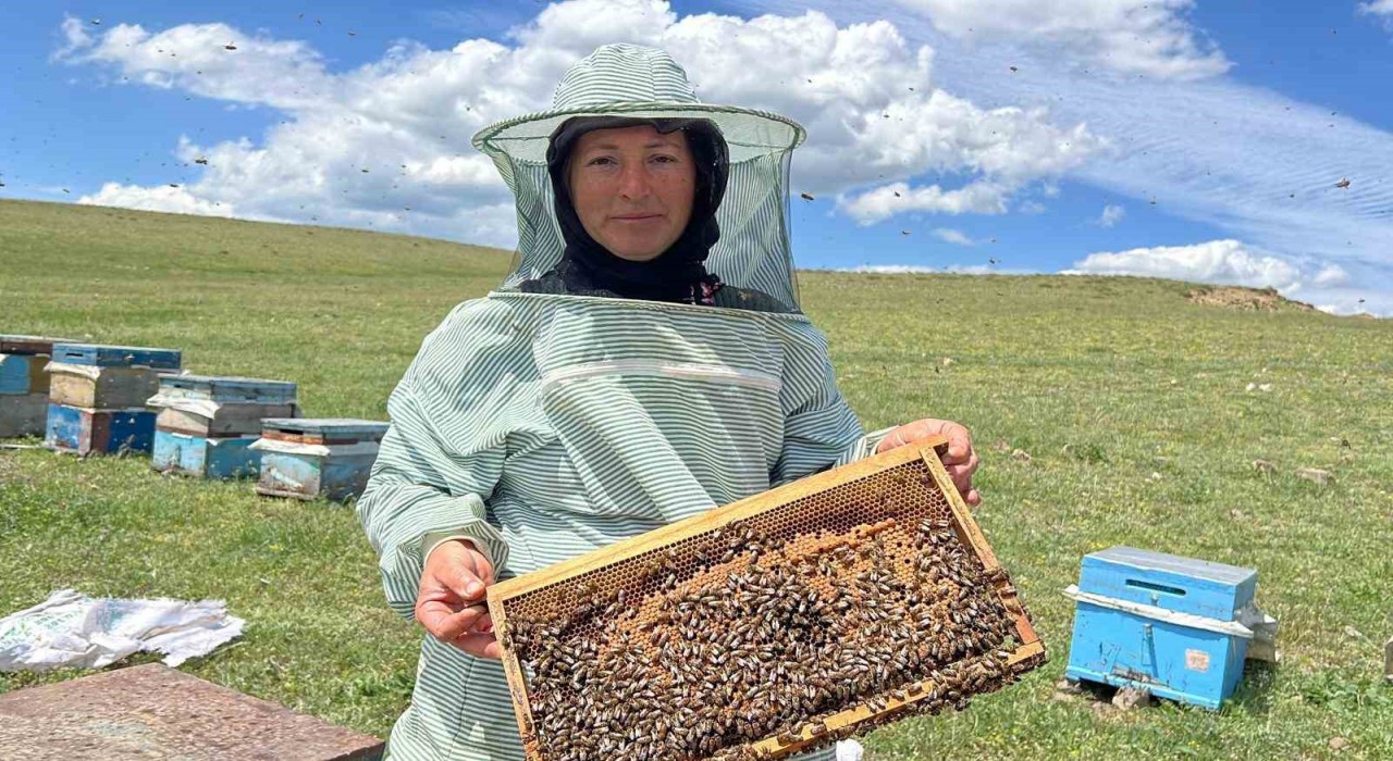 Karsta baba mesleği arıcılığı 21 yıldır eşiyle birlikte yapıyor