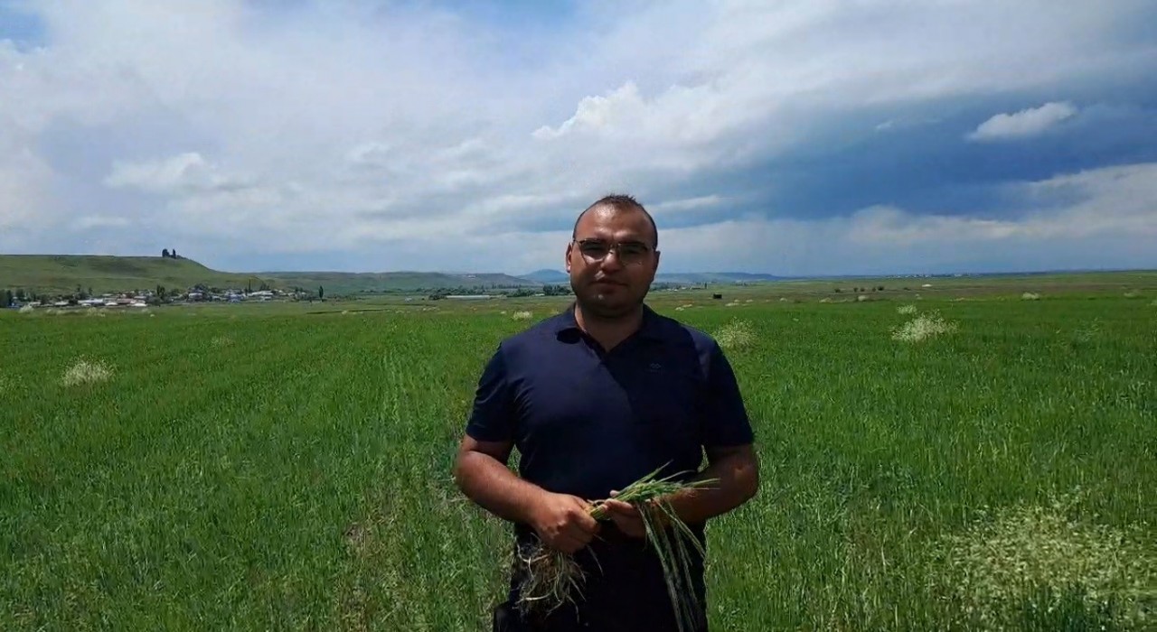 Karsta etkili olan dolu tarım arazilerine zarar verdi