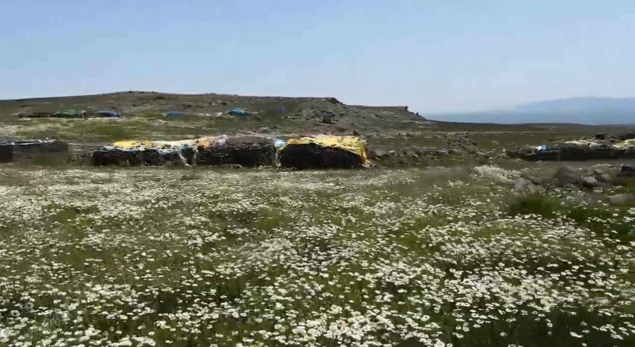 Karsta köylüler yaylaları imece usulü hazırlıyor