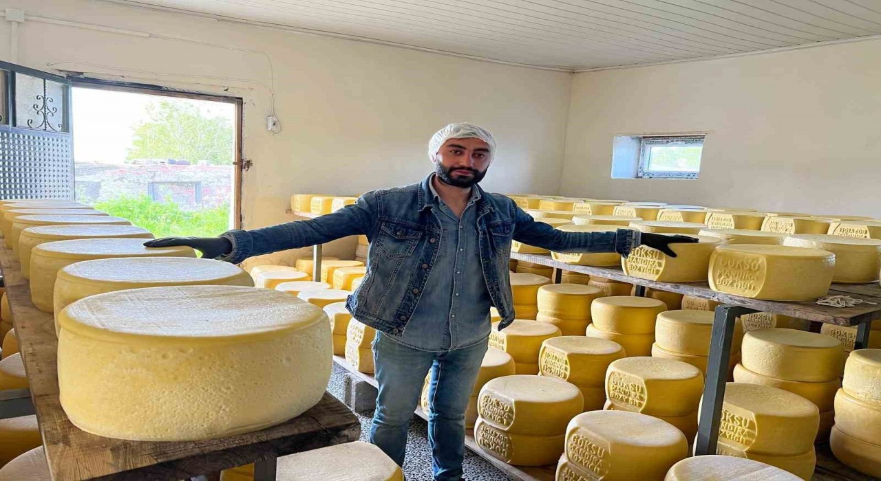 Karsta tonlarca süt, eski kaşar için işleniyor