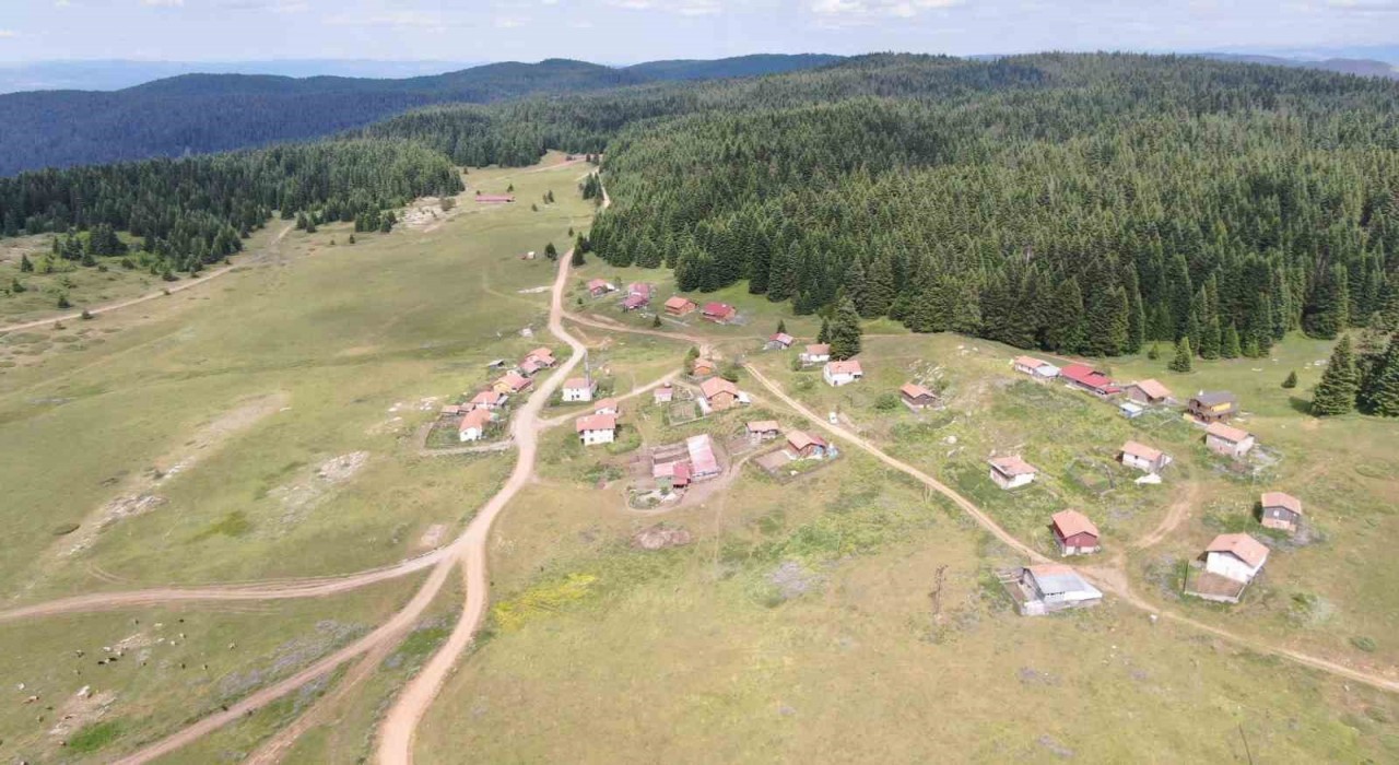Kastamonuda 48 kilometrelik rotada bulunan 33 yayla, korunan alan ilan edilecek