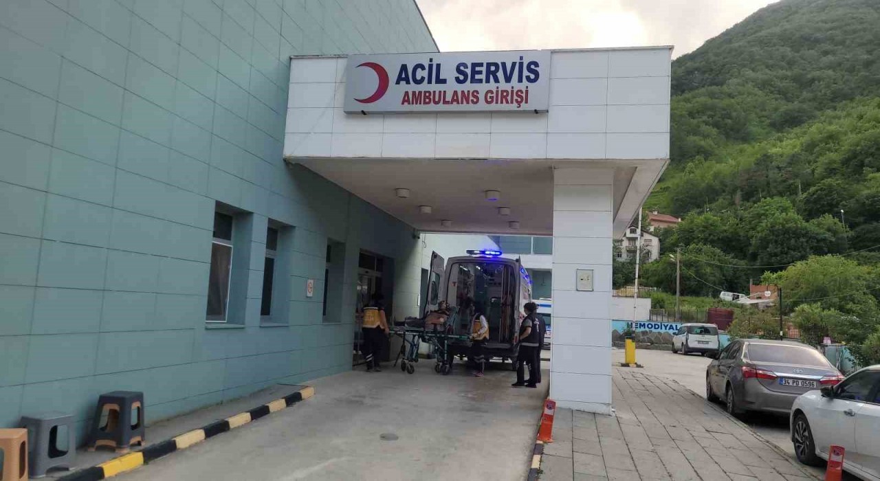 Kastamonuda akrebin soktuğu kadın hastanelik oldu