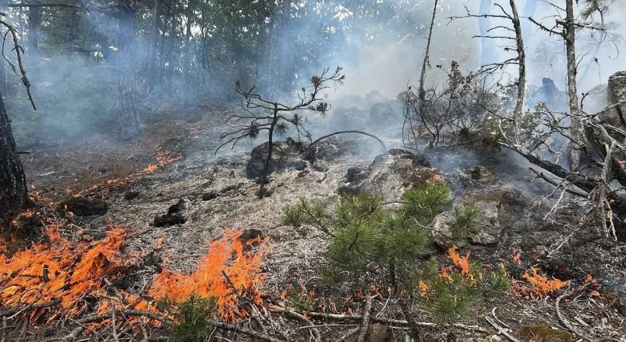 Kastamonuda çıkan orman yangını büyümeden söndürüldü