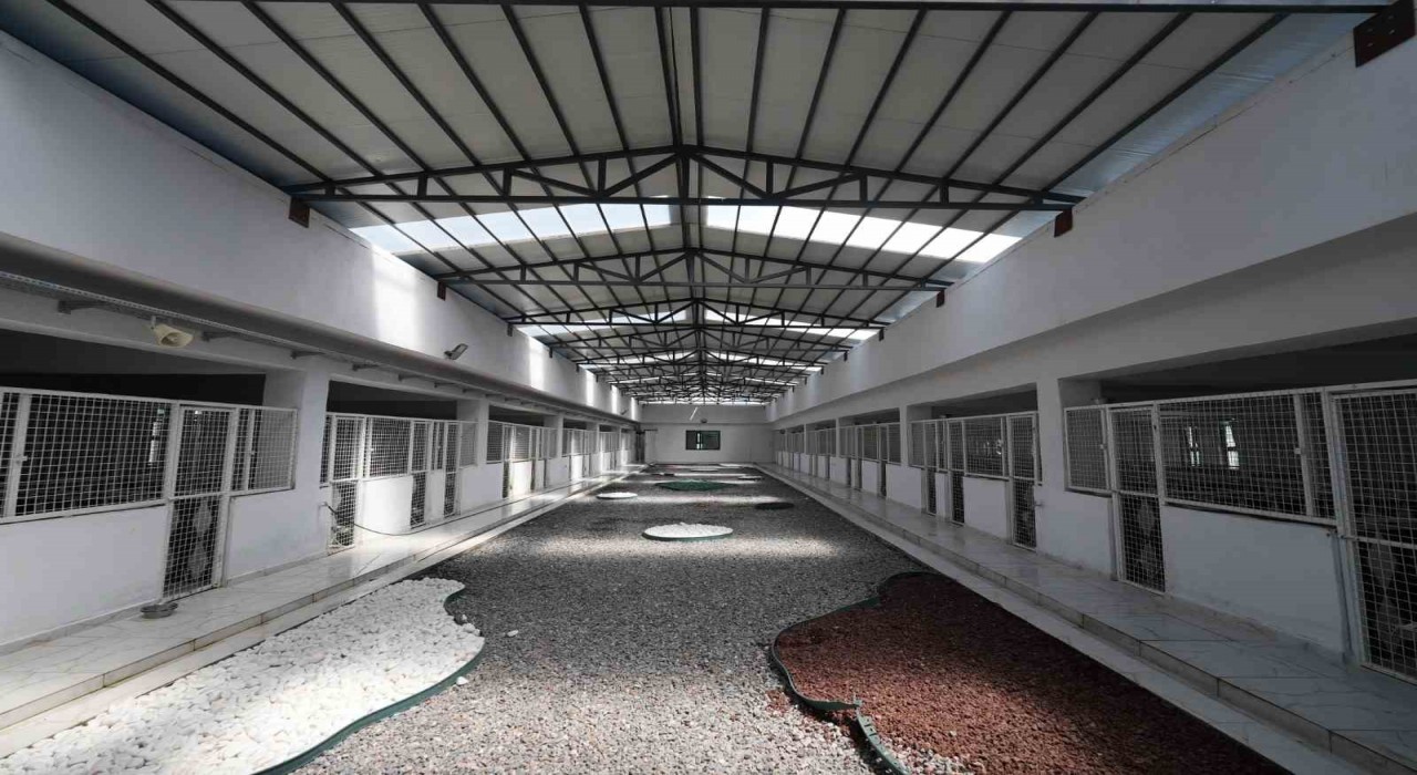 Kayseride 500 hayvan kapasiteli yeni bir barınak inşa ediliyor