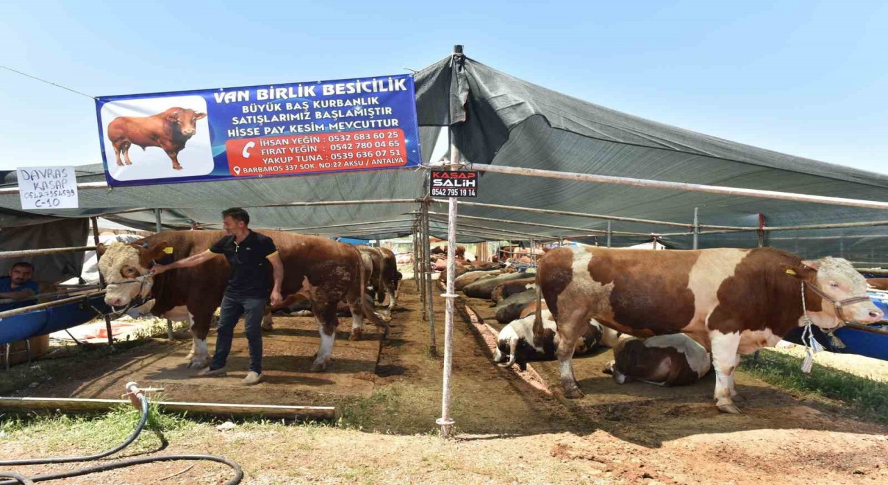 Kepezde 9 noktada kurban kesim alanı