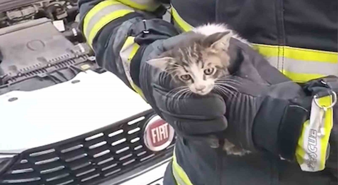 Kırıkkalede kedi kurtarma operasyonu