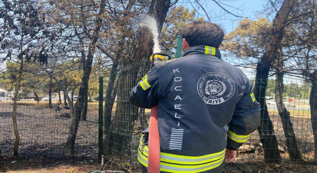Kocaelide ağaçlık alanda yangın çıktı, 4 kişi dumandan etkilendi