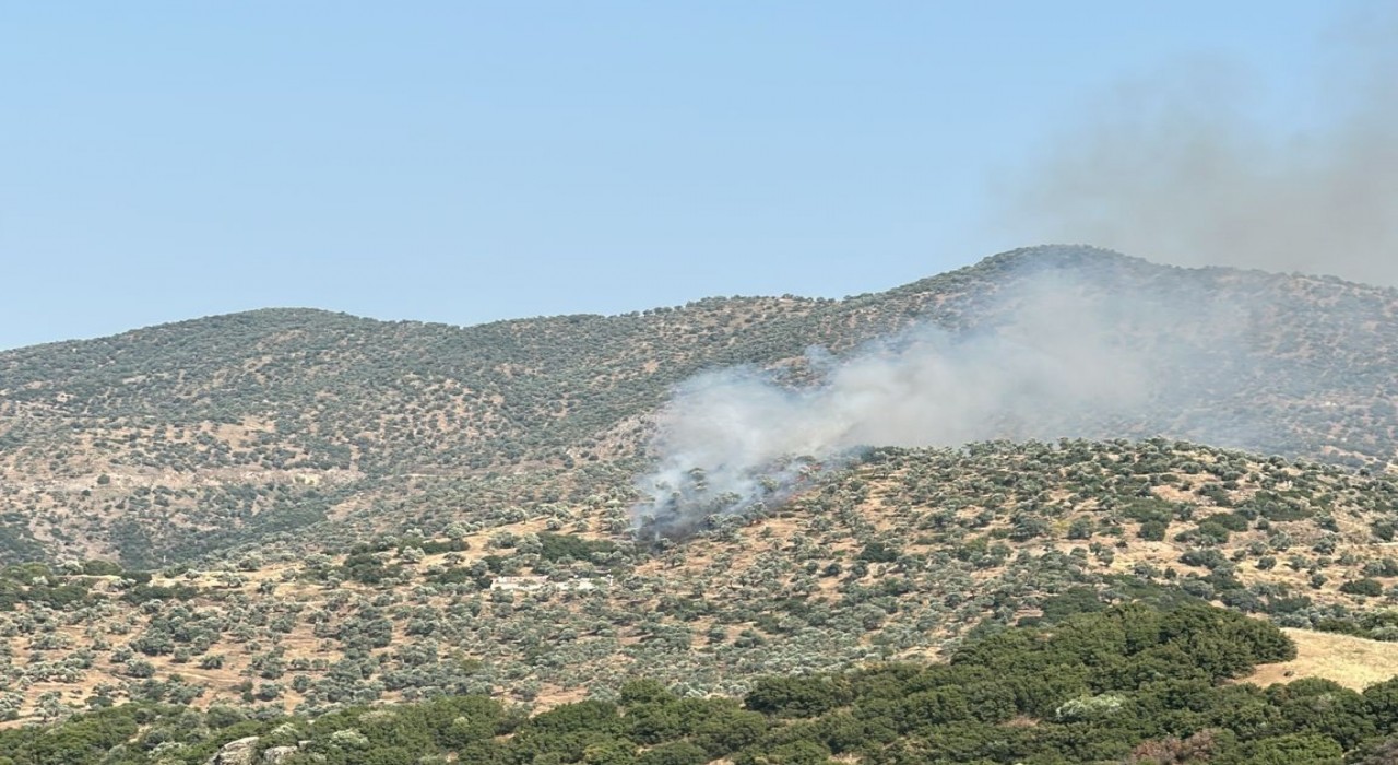 Koçarlıdaki zeytinlik yangını kontrol atına alındı