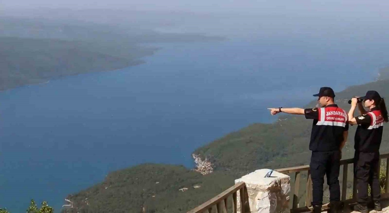 Komando, Polis Özel Harekât ve orman ekipleri ‘Yeşil Vatan nöbetinde
