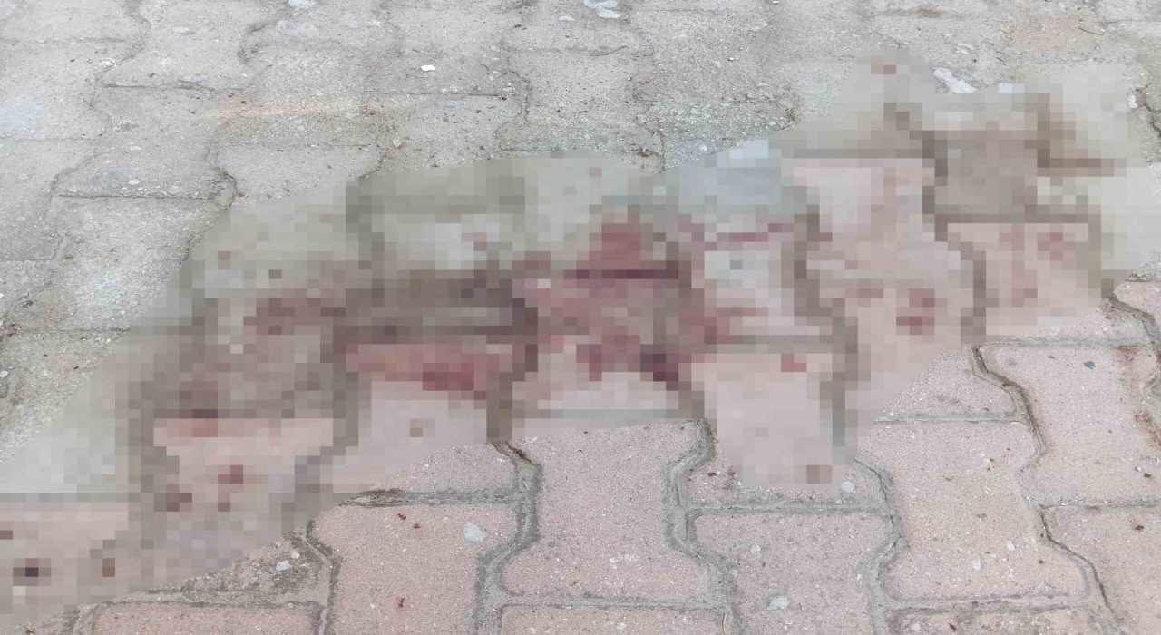 Komşusunun balkonundan kendi evine geçmeye çalışırken düşen kadın ağır yaralandı