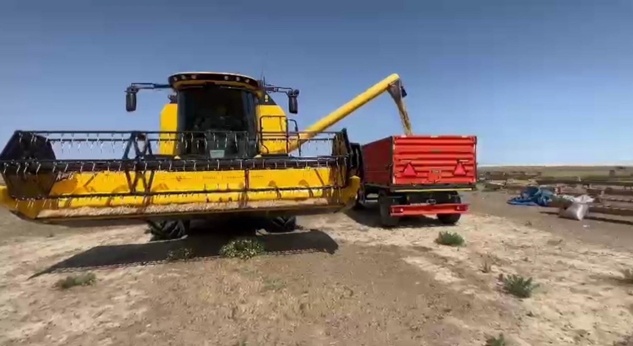 Konyanın Kulu ilçesinde ekilen arpa zamanından 3 hafta önce hasat edildi