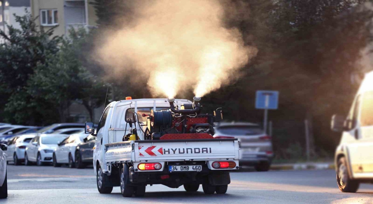 Küçükçekmecede sivrisineklere geçit yok