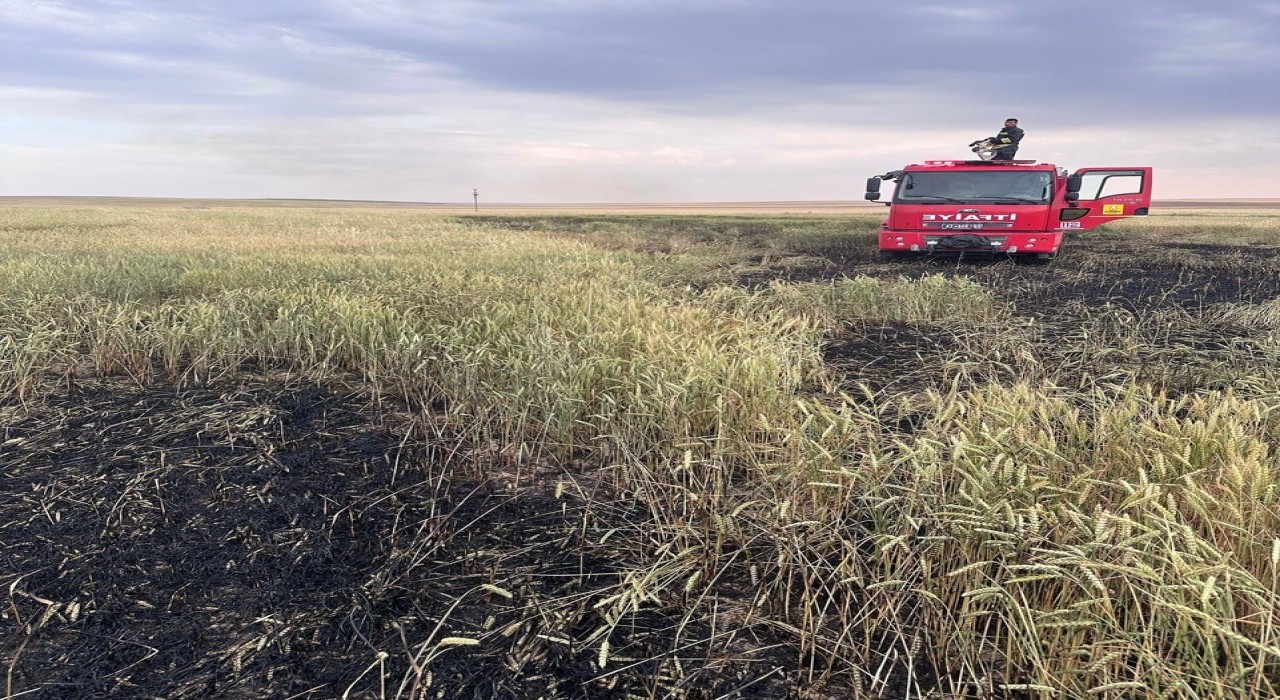 Kuluda arpa ekili tarlada yangın