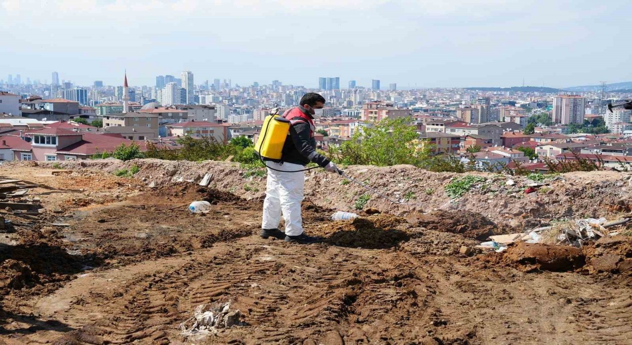 Kurban Bayramı öncesi Ataşehirde denetimler artırıldı