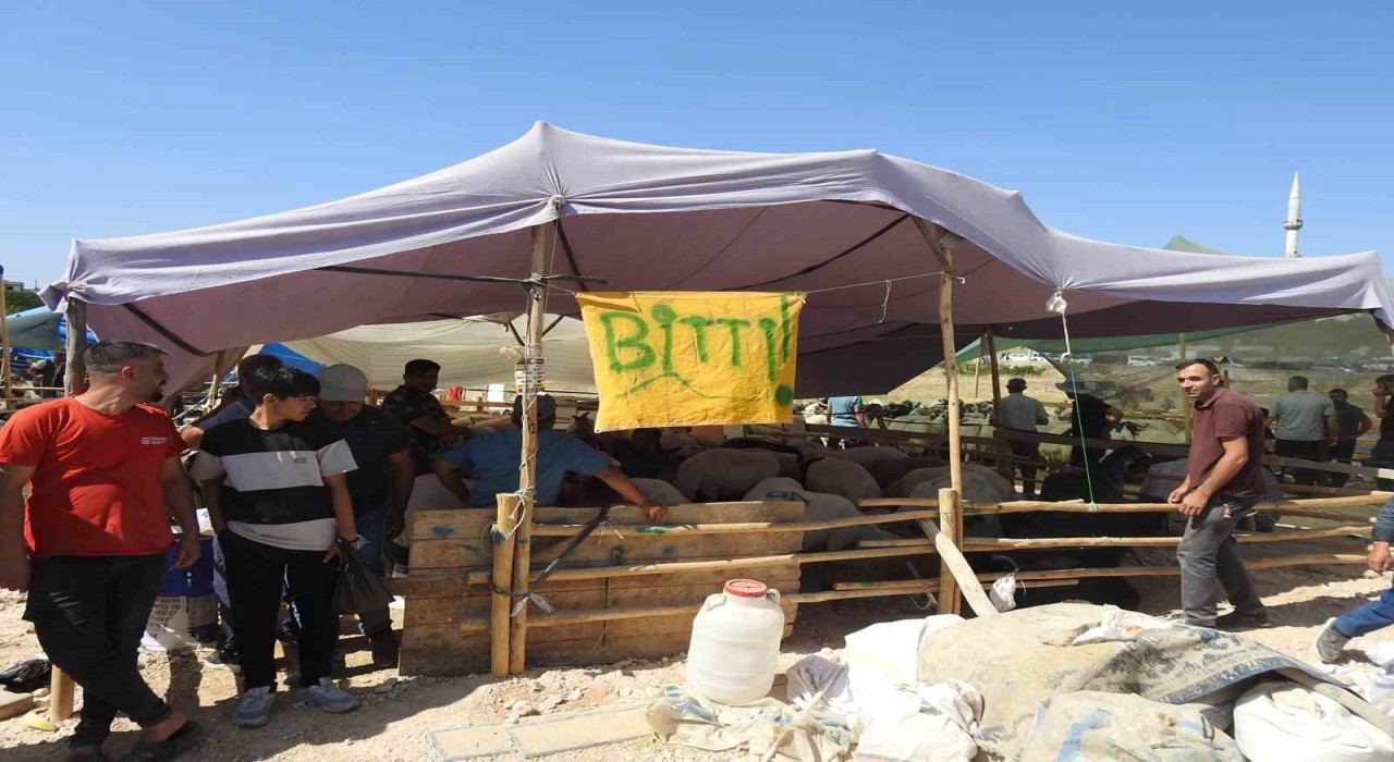 Kurban Bayramının ilk günü hayvan pazarları dolup taştı