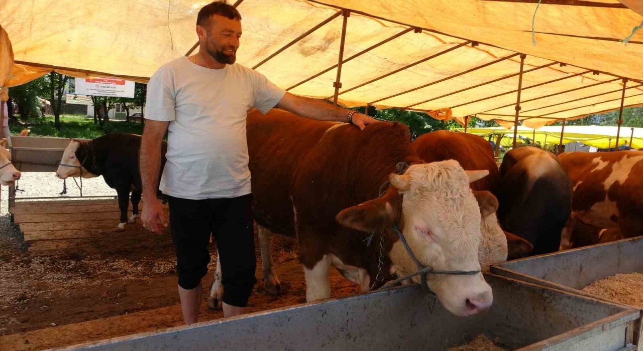 Kurban satıcıları, yurtdışı bağışlardan ve marketlerden şikayetçi