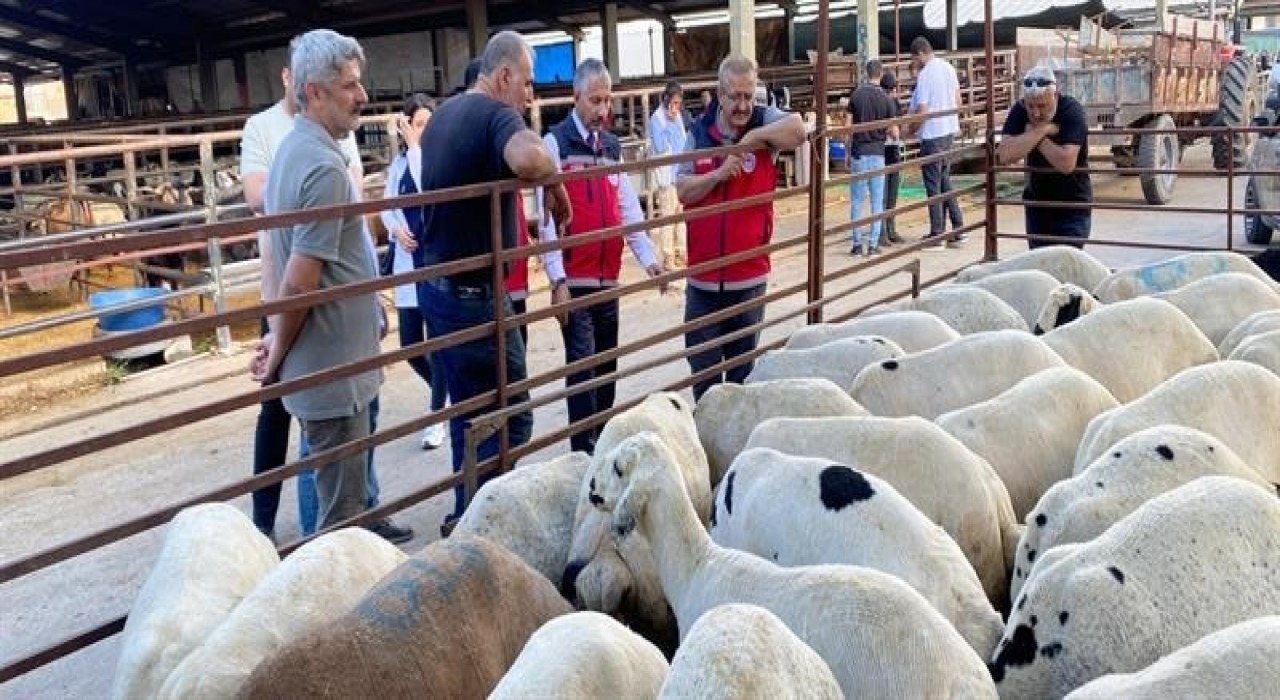 Kurbanlık hayvan satışı ve nakliyesi sıkı denetimde