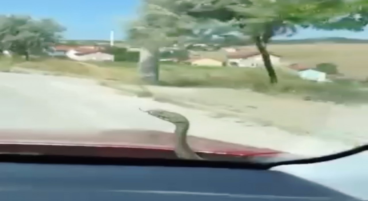 Kütahyada aracın kaputundan çıkan yılan şaşkınlığı