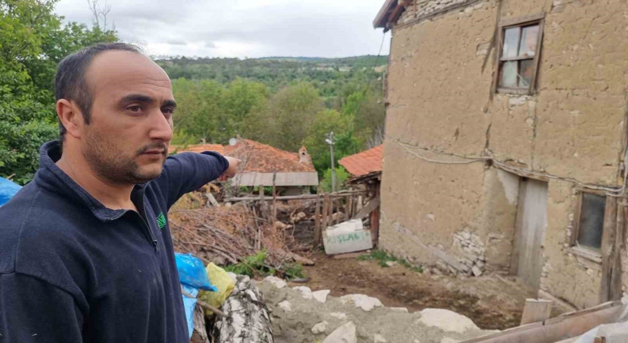 Kütahyada kurtların saldırısında 11 koyun telef oldu