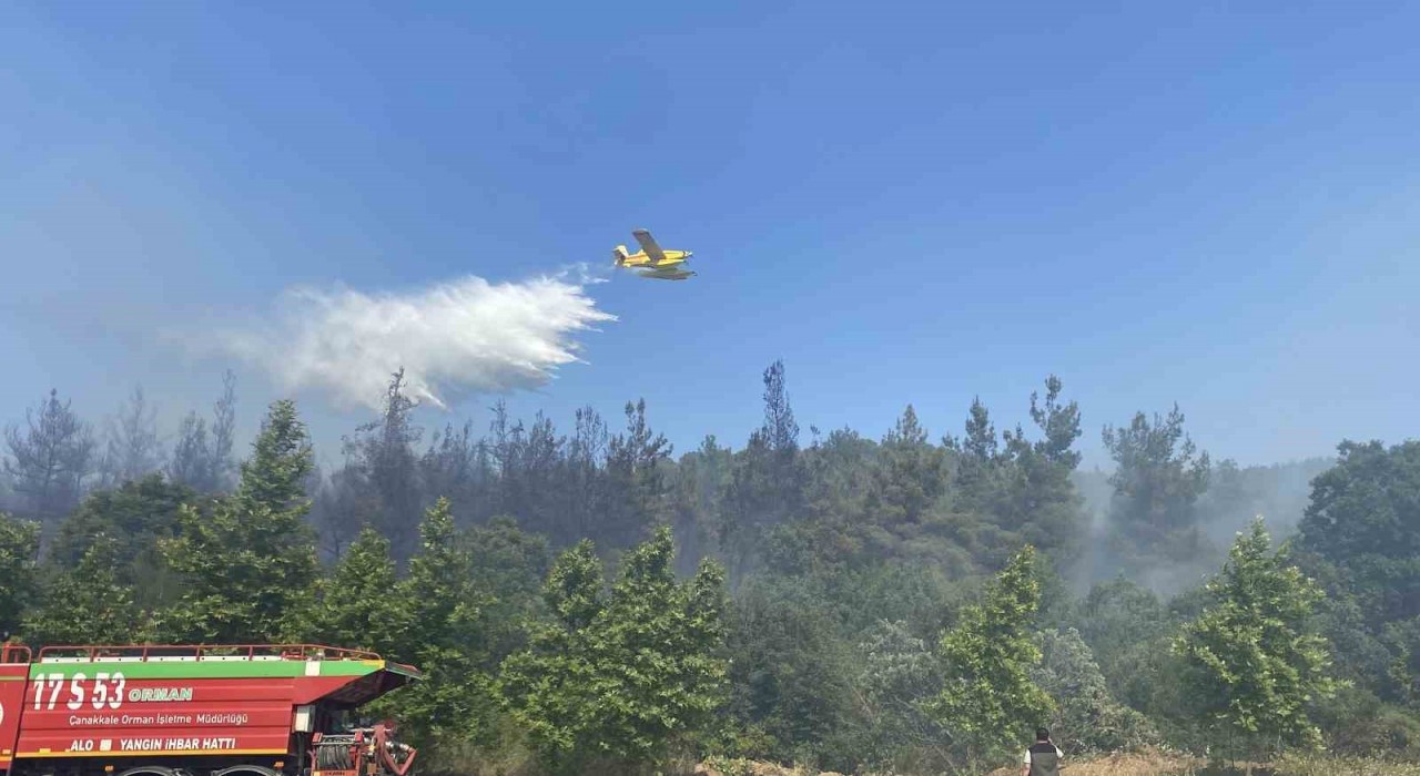 Lapsekideki orman yangınına havadan ve karadan müdahale ediliyor