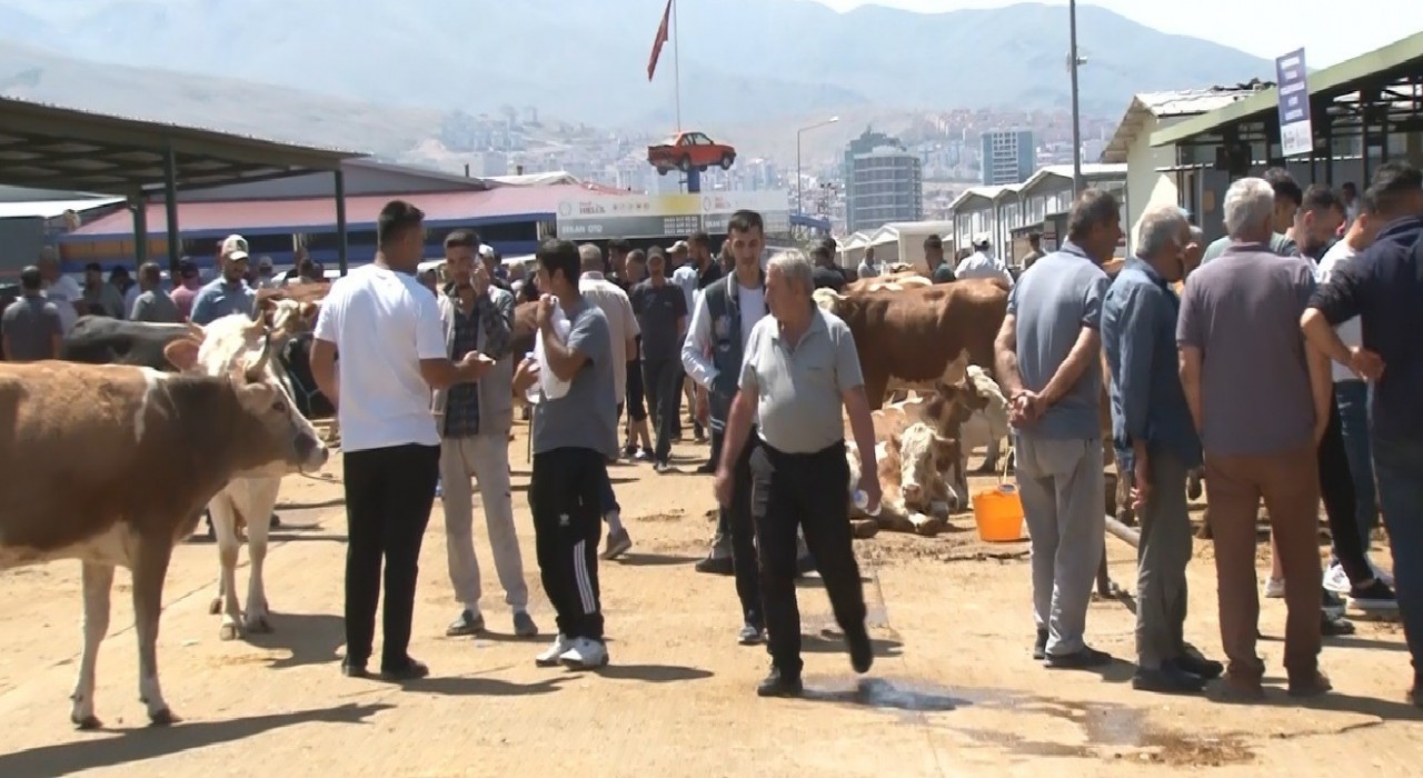 Malatya Canlı Hayvan Pazarında bayram yoğunluğu