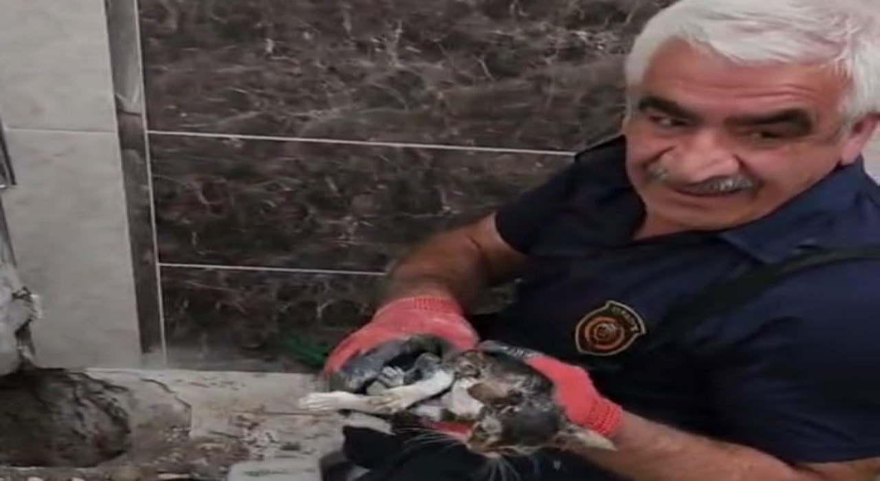 Malatyada atık su hattına düşen yavru kedi kurtarıldı