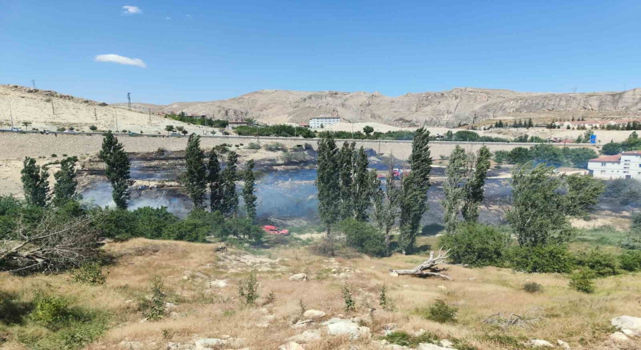 Malatyada ot yangını