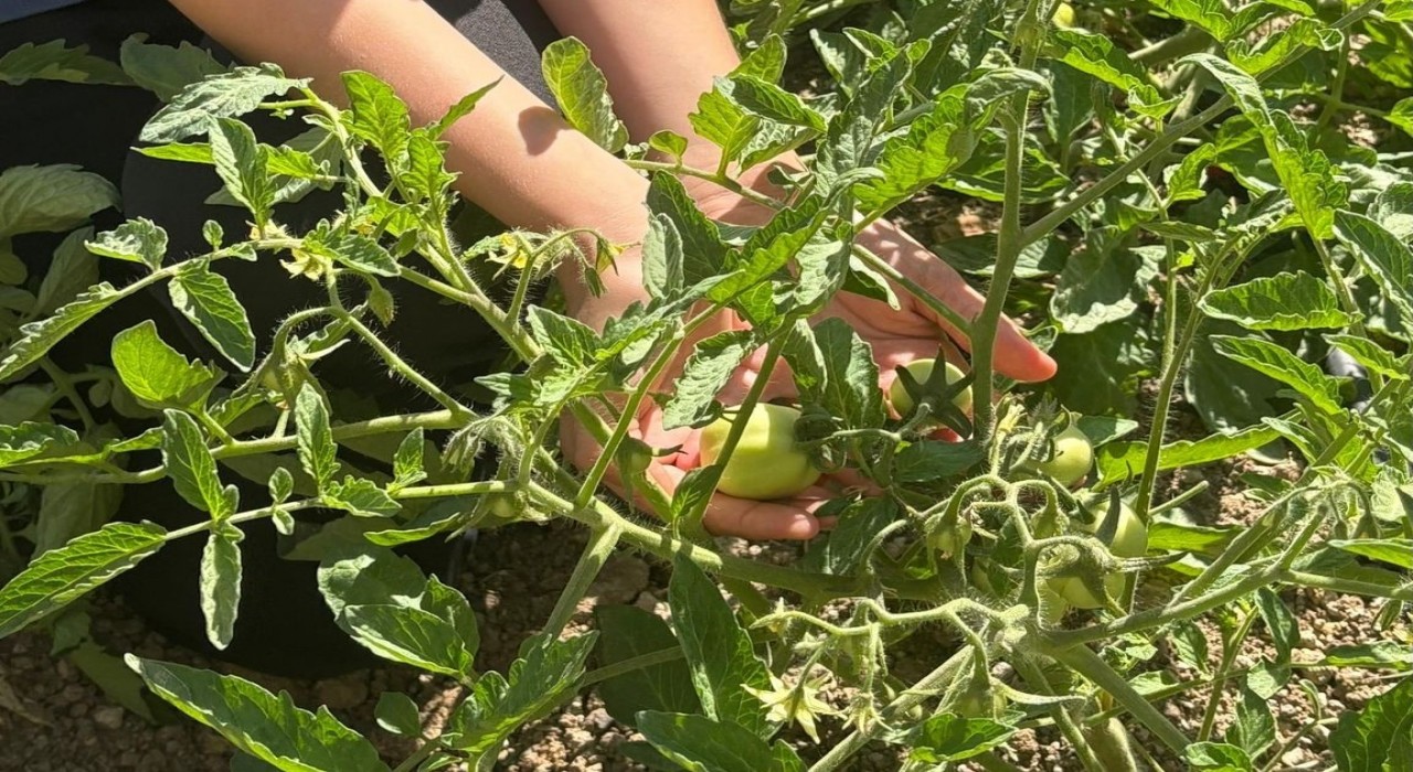 Manisada geri dönüşümle doğal yaşam sınıfı kuruldu