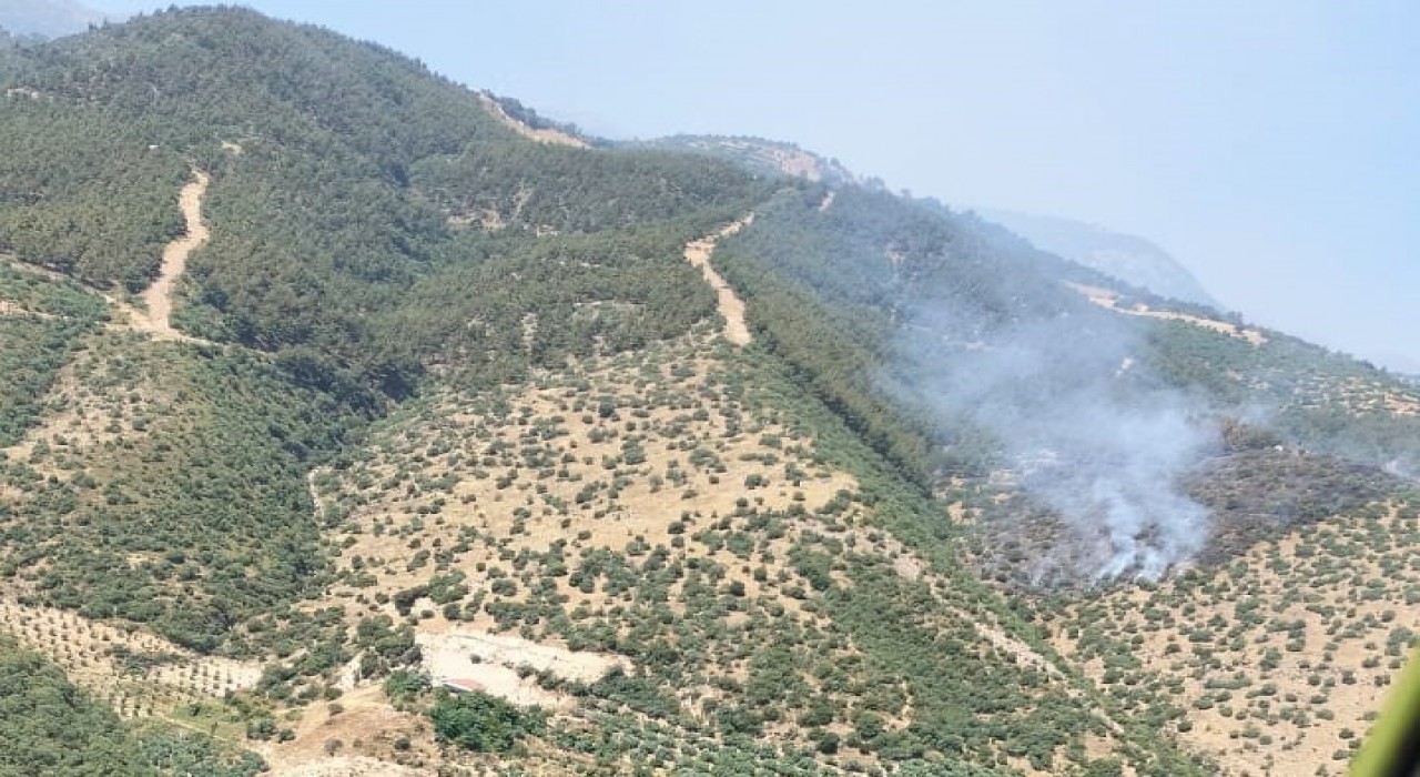 Manisada orman yangınına havadan ve karadan müdahale
