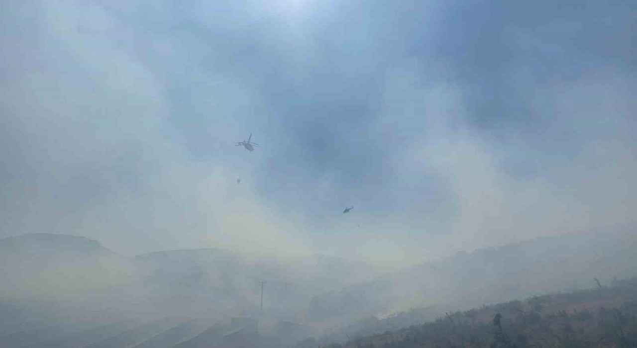 Manisada ormanlık alanda yangın: Havadan ve karadan müdahale başladı