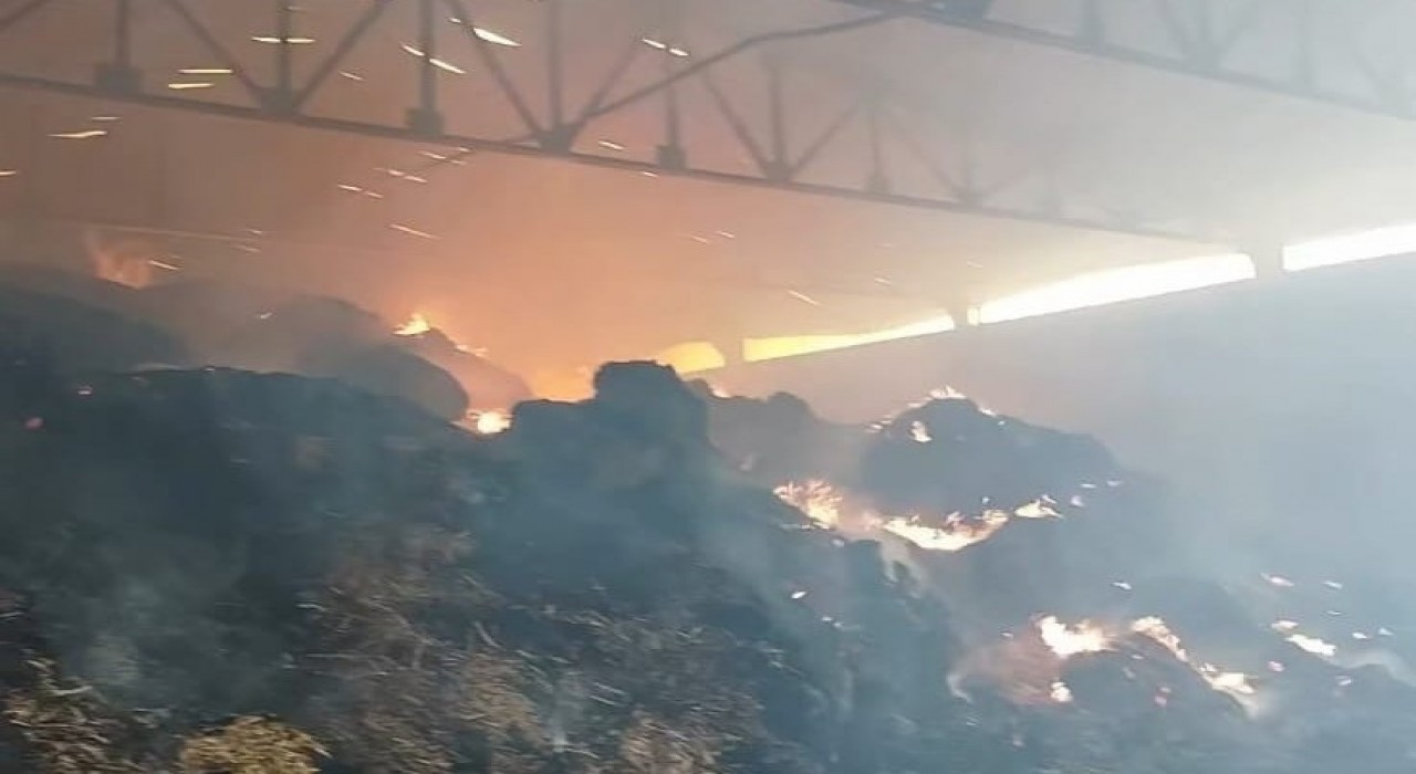 Manisada samanlık yangını: Binlerce balya saman kül oldu