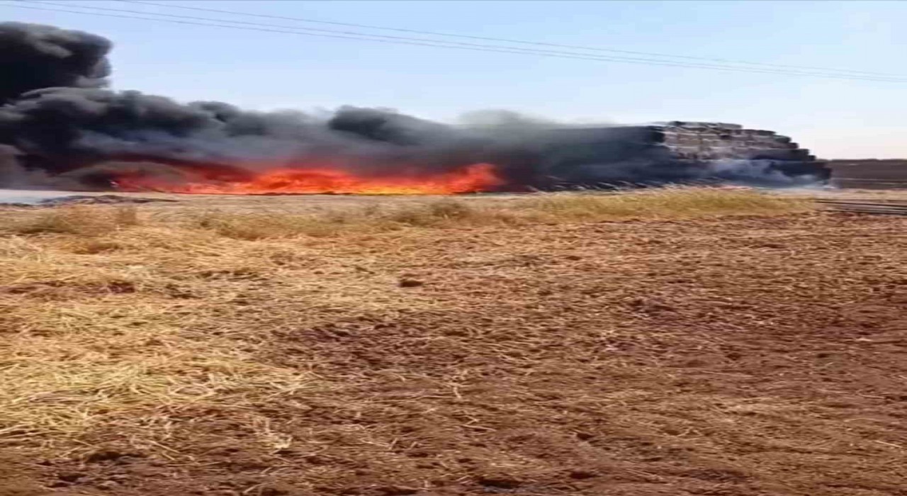 Mardinde çıkan yangında 25 ton saman ve 300 sulama borusu yandı
