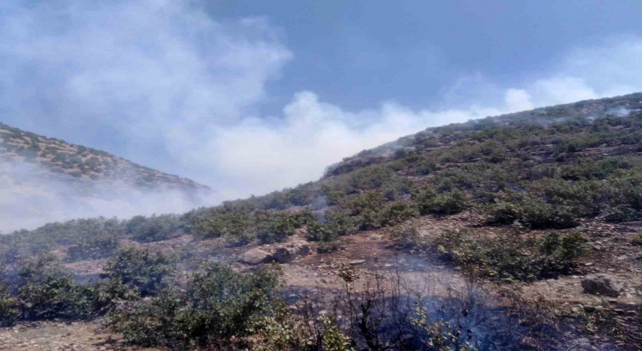 Mardinde ormanlık alanda çıkan yangına müdahale sürüyor