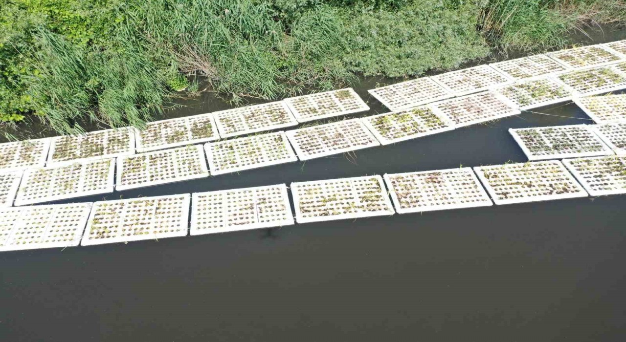 Marmara Denizini besleyen derelerde Yüzer Ada Projesi hayata geçirildi