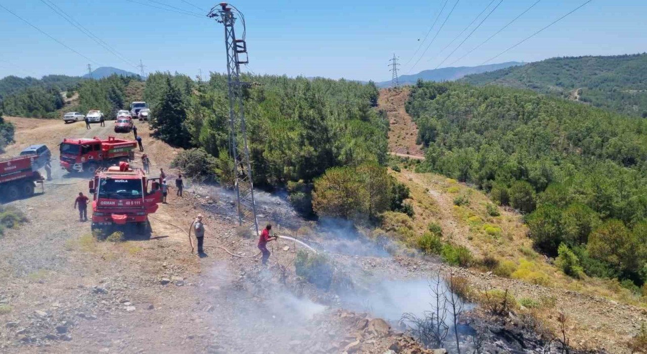 Marmaristeki orman yangını büyümeden söndürüldü