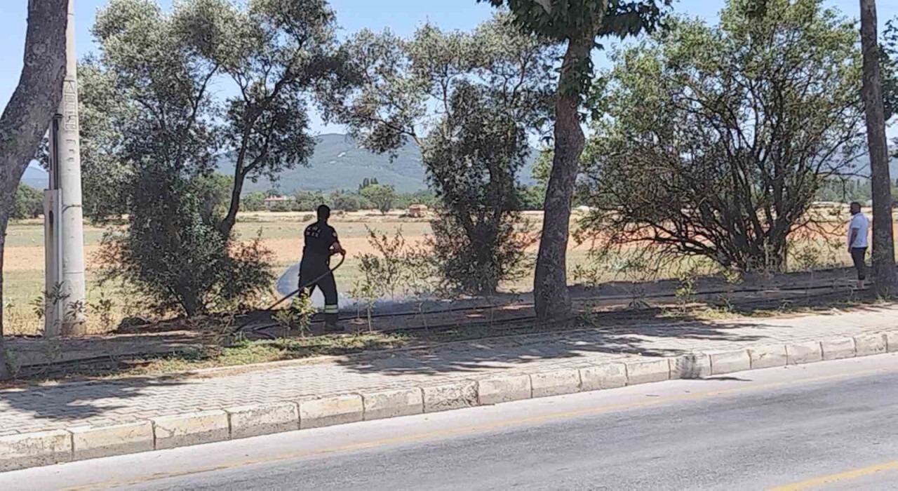 Menteşede yangın büyümeden söndürüldü