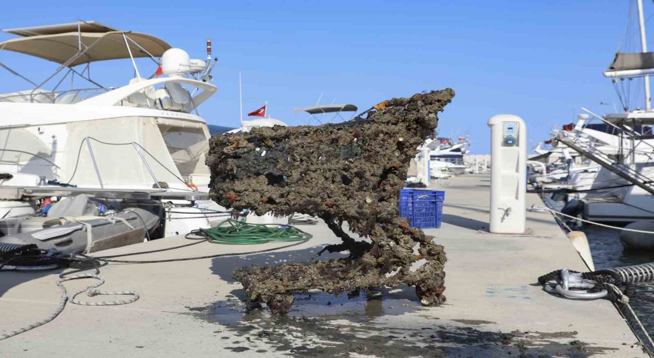 Mersinde denizden çıkarılan çöpler sahilde sergilendi: Alışveriş arabası bile var