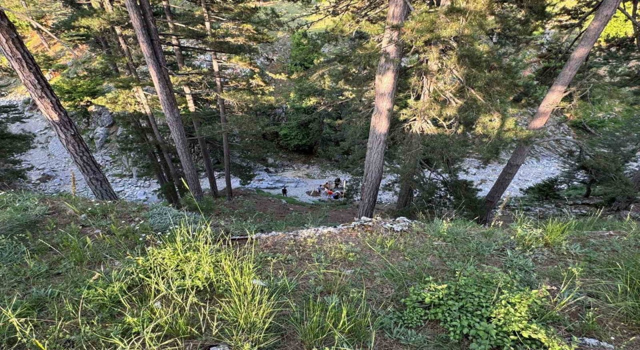 Mersinde kekik toplarken uçurumdan yuvarlanan kadın yaralandı