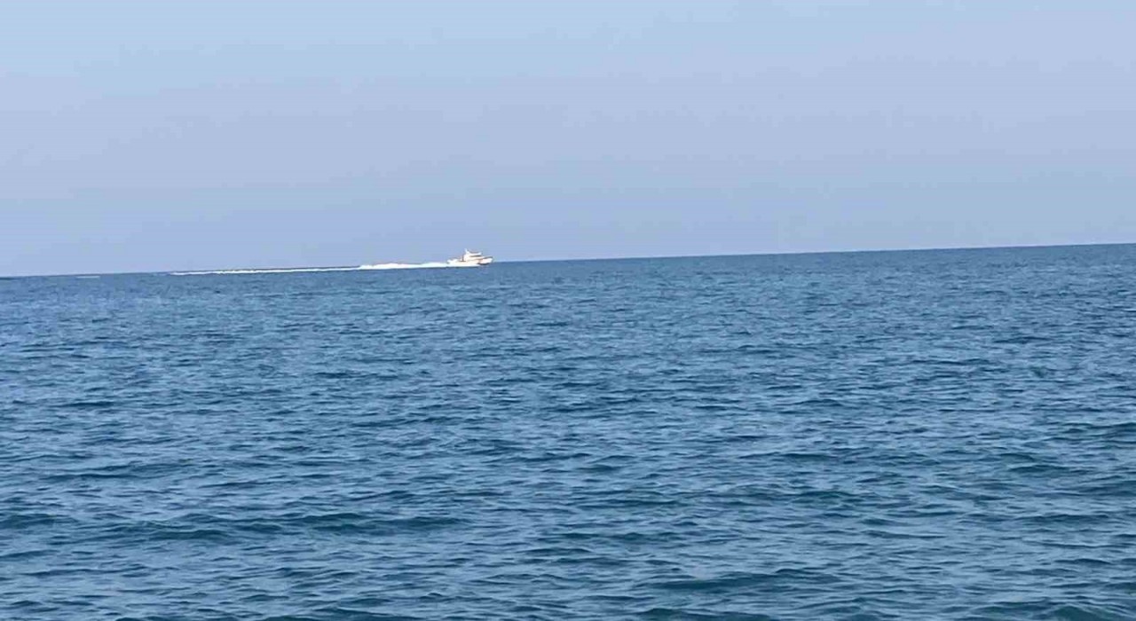 Mersinde köpekbalığı tedirginliği