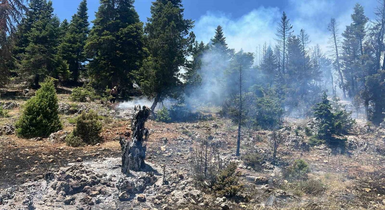 Mersinde orman yangını, ekipler  müdahaleye başladı