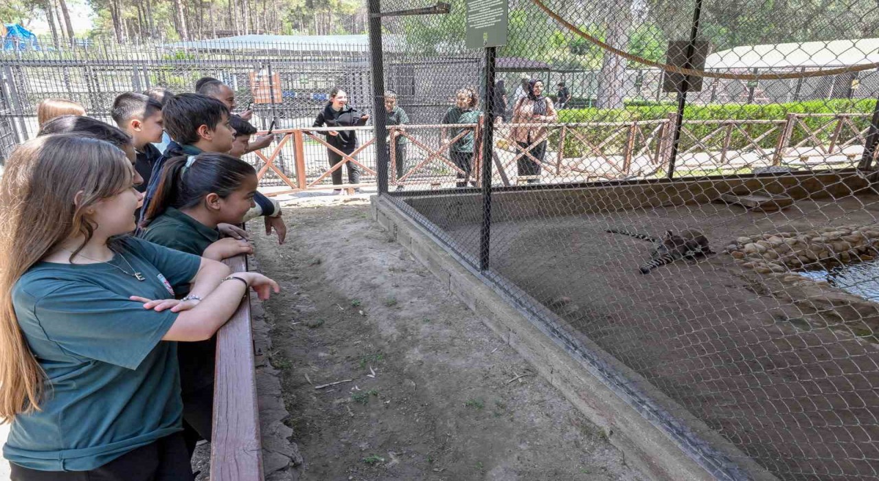 Mersindeki ‘Minikbüs Projesi çocuklara gezi ve öğrenme yolculuğu sunuyor