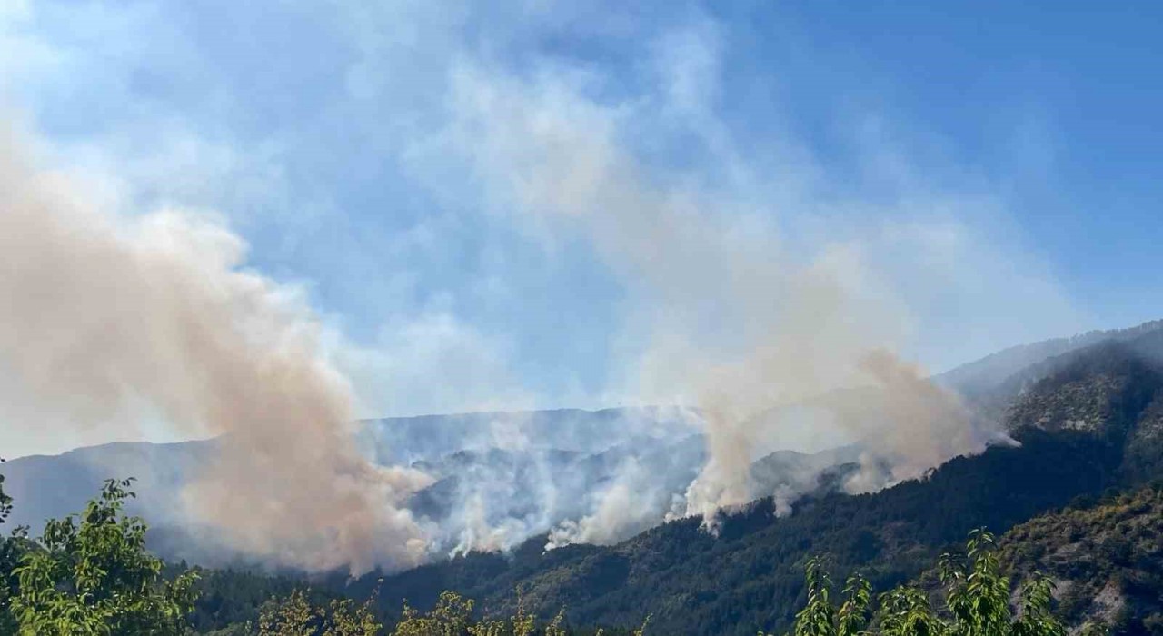 Milletvekili Şahin: Yanan 88 Hektarlık Orman Alanı Ağaçlandırılıyor