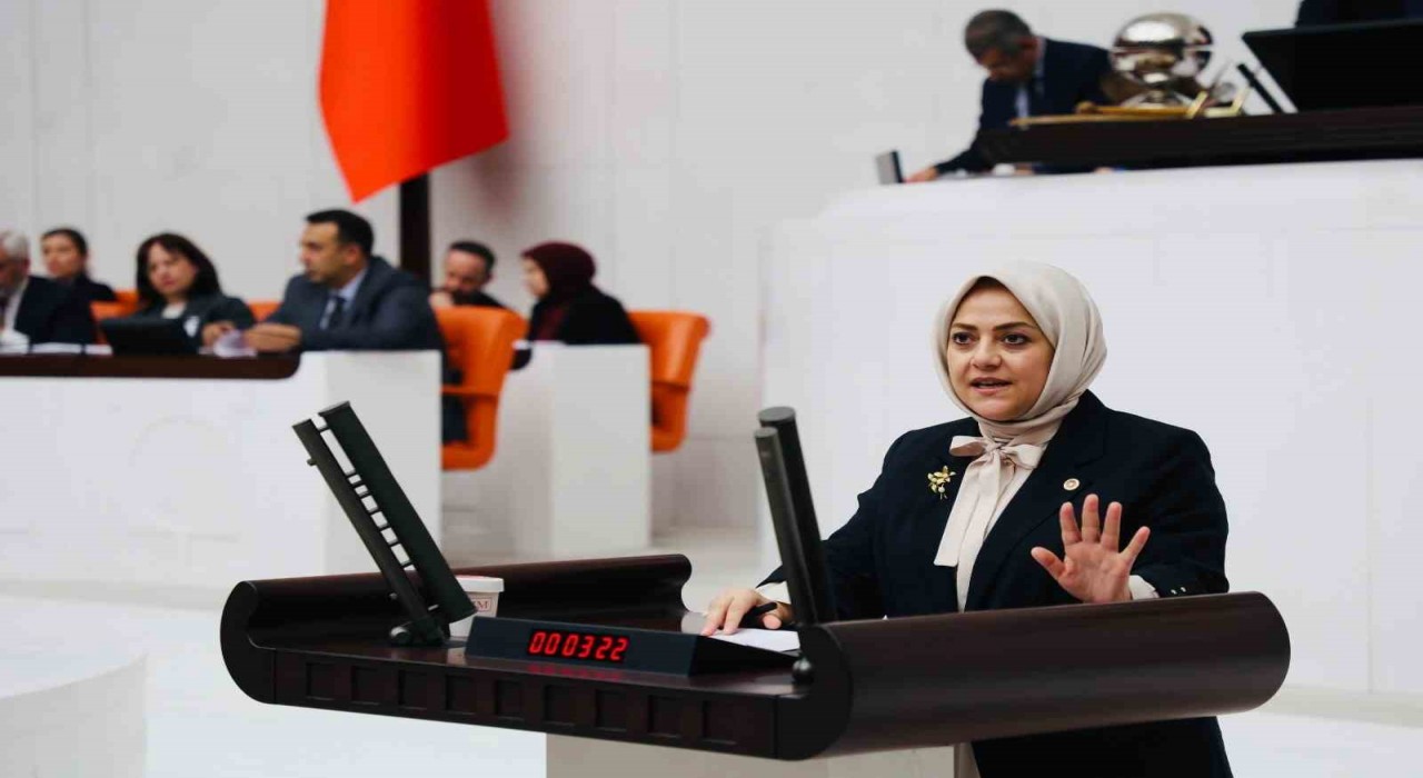 Milletvekili Ün; İklim kanunu çiftçiye, besiciye darbe vuracak