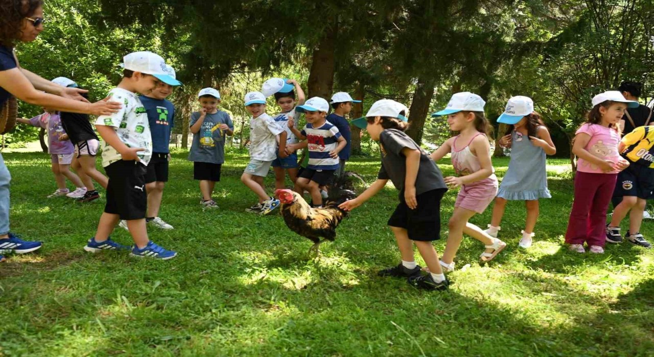 Minik eller Denizli Horozu üretimini öğrendi