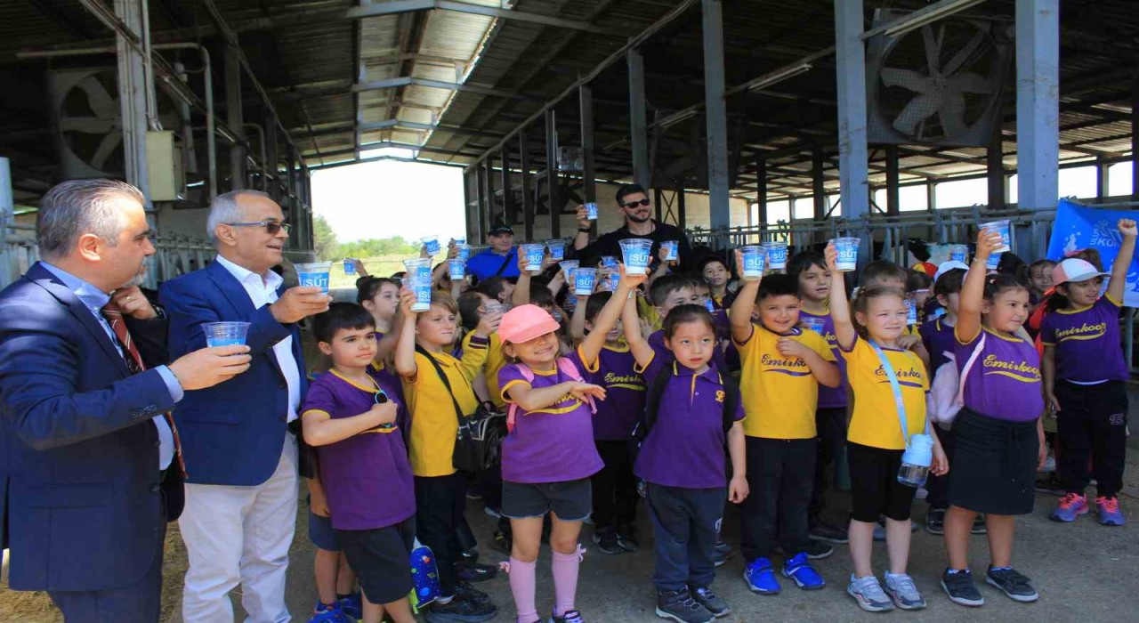 Minikler inekler arasında süt içerek Süt Gününü kutladı