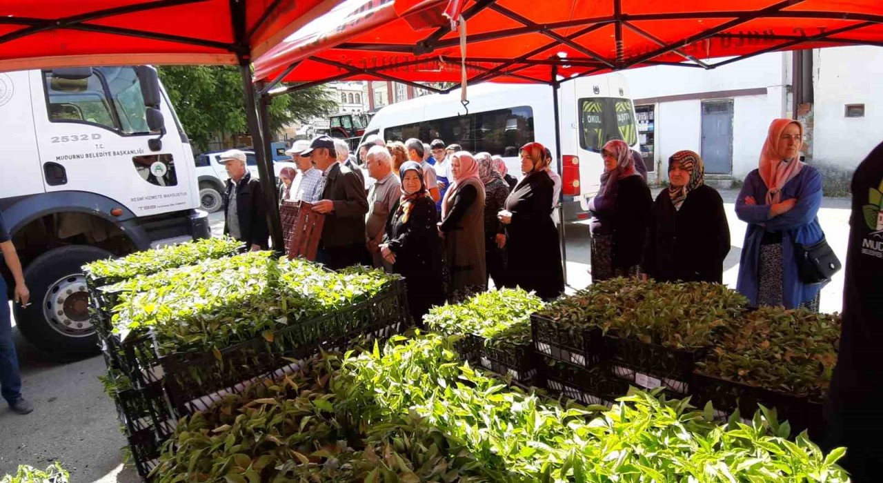 Mudurnuda 108 bin fide dağıtıldı, çiftçiler akın etti